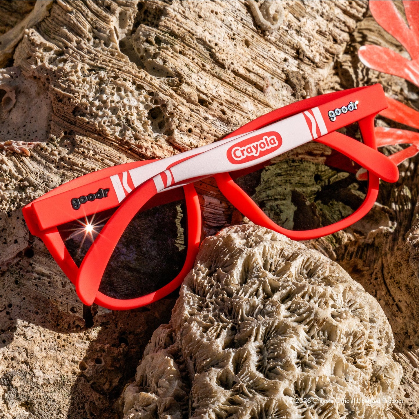 Coral Reef Coral Reef | Goodr