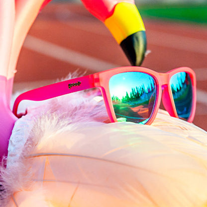 Pink Flamingo Sunglasses - Best Seller Pink | Goodr