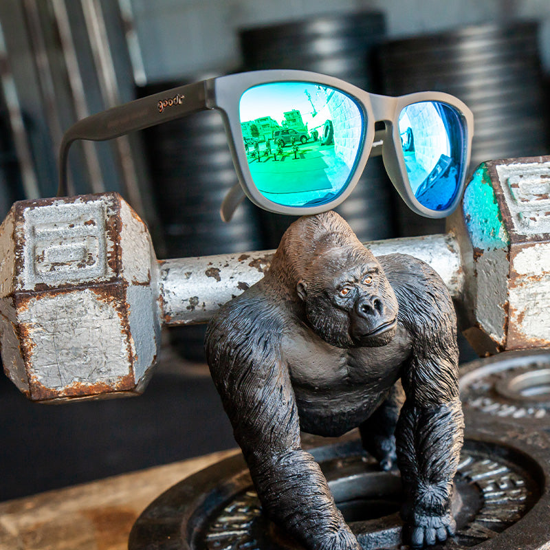 Gray & Silver Sunglasses - Silverback Squat Mobility Gray | Goodr