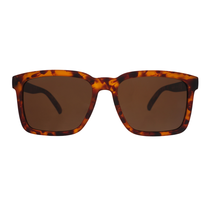 Not An Actual Professor Tortoiseshell | Goodr