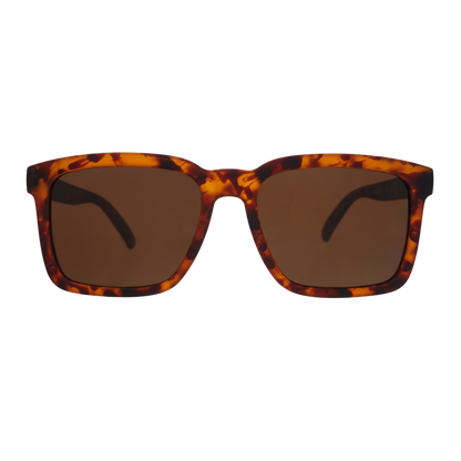 Not An Actual Professor Tortoiseshell | Goodr