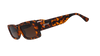 Tortoiseshell