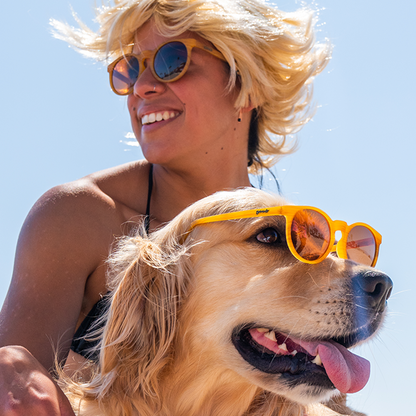 Round Wood Grain Sunglasses - Bodhi's Ultimate Ride Light Brown | Goodr