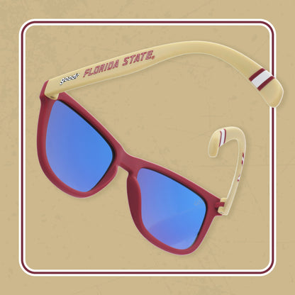 Florida State University Sunglasses Florida State University | Goodr