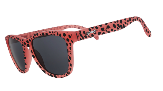 Cheetahs Always Win  | Goodr